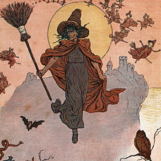Atelier Histoire & Plantes de Sorcières 🧙​